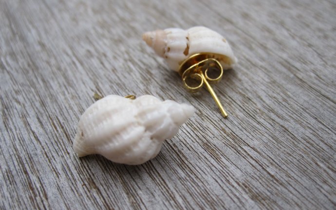 Barnacle Beth s Salty Shells: Seashell Accessories | Elisabeth