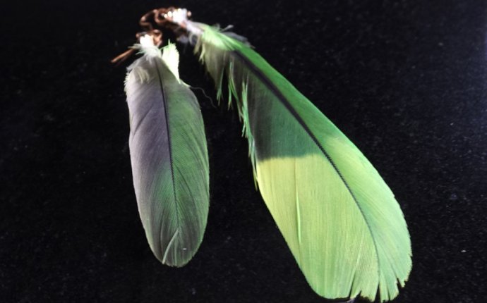 Handmade Parrot Feather Earrings – Wire Wrapped Earrings