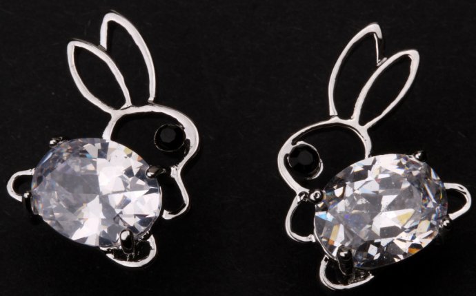 Sterling silver earrings Charm