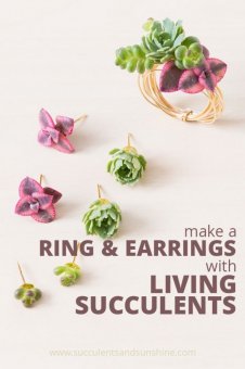 This is amazing! You can use real succulents on earrings and rings!