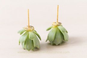 Use floral glue to attach living succulents to earring posts